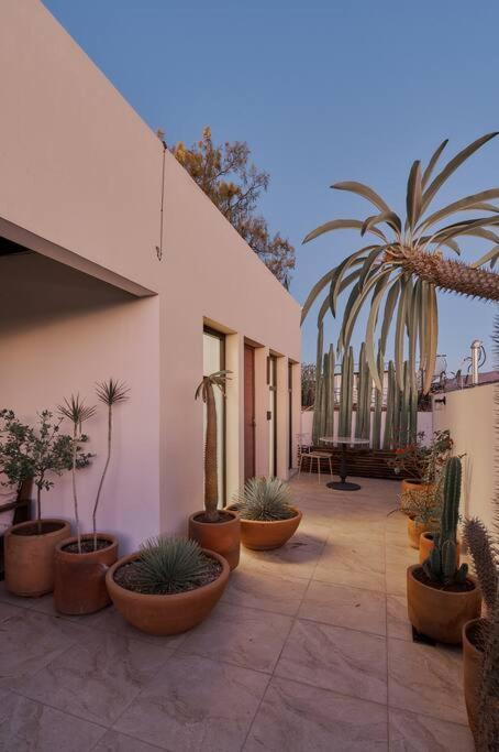 Apartamento Centrico Live Oaxaca Exterior foto